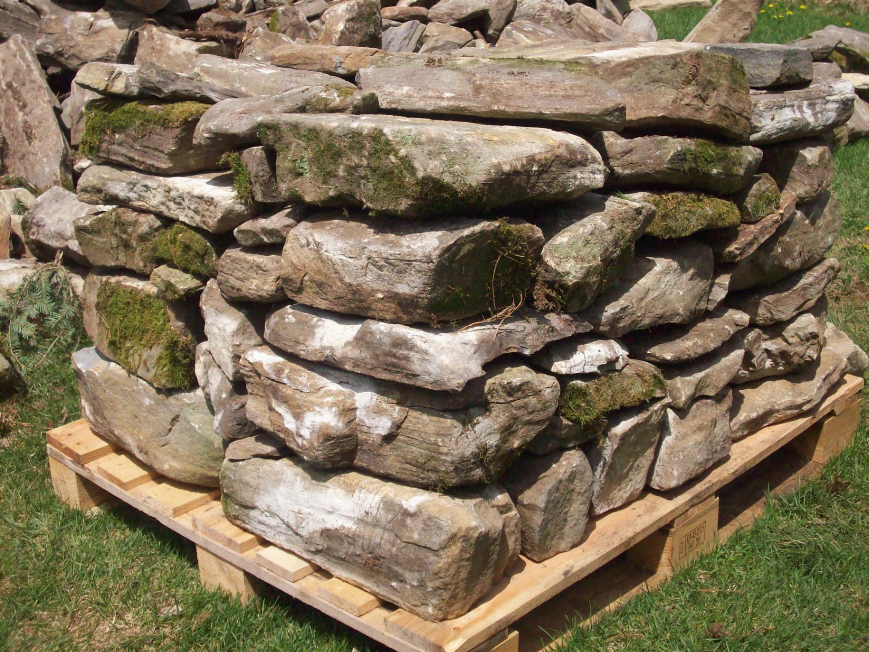 Large pallet of mossy dry-stack wall stone in the yard