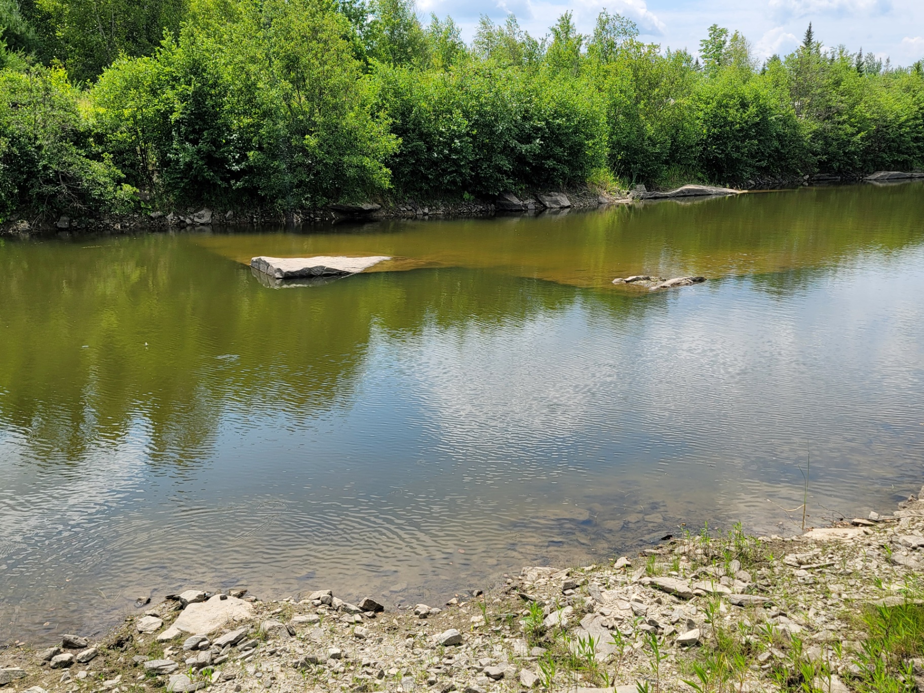 Wide view of on-site quarry pond bordered by forest