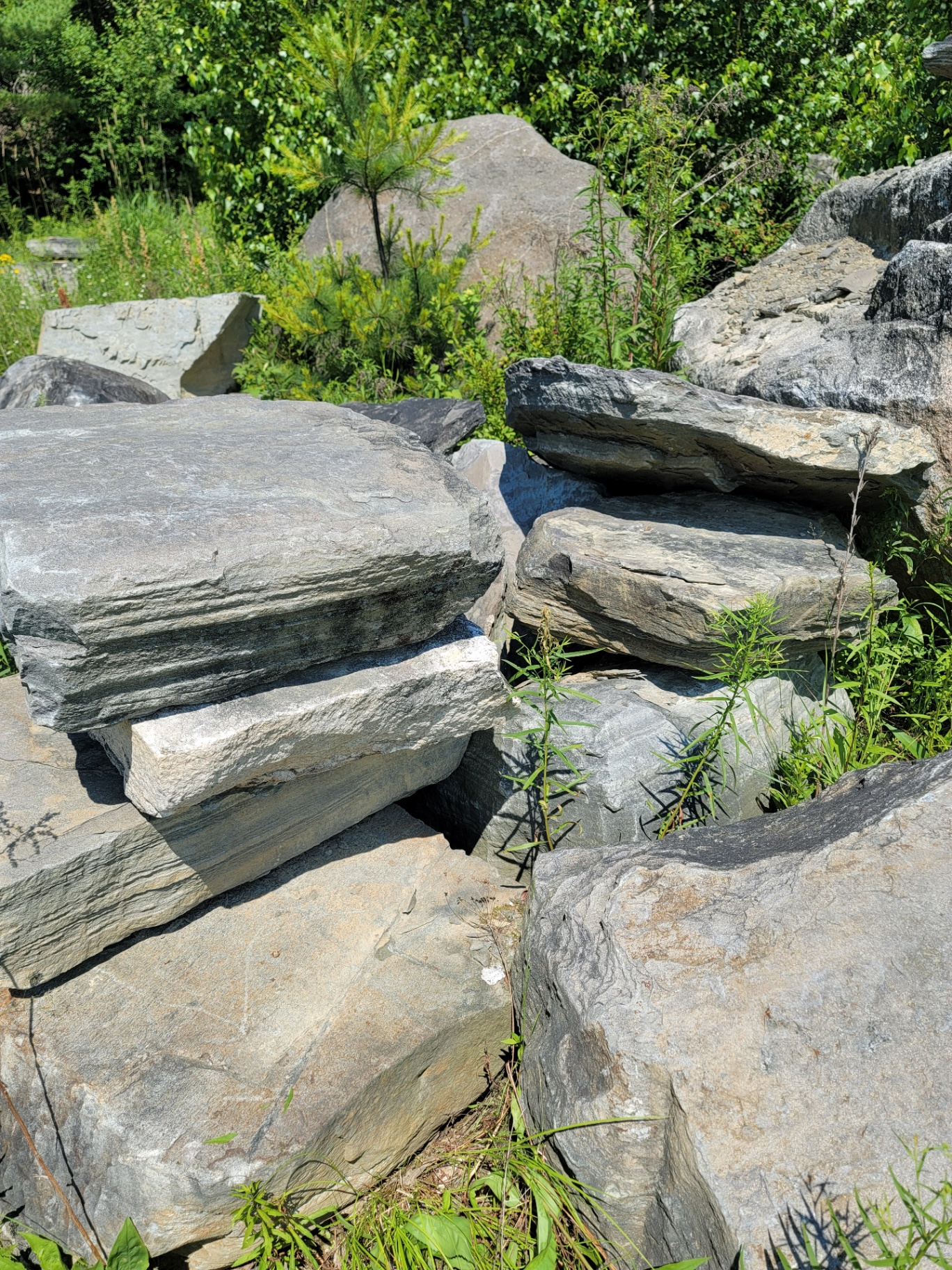 Dimensional stone blocks stacked in the quarry yard