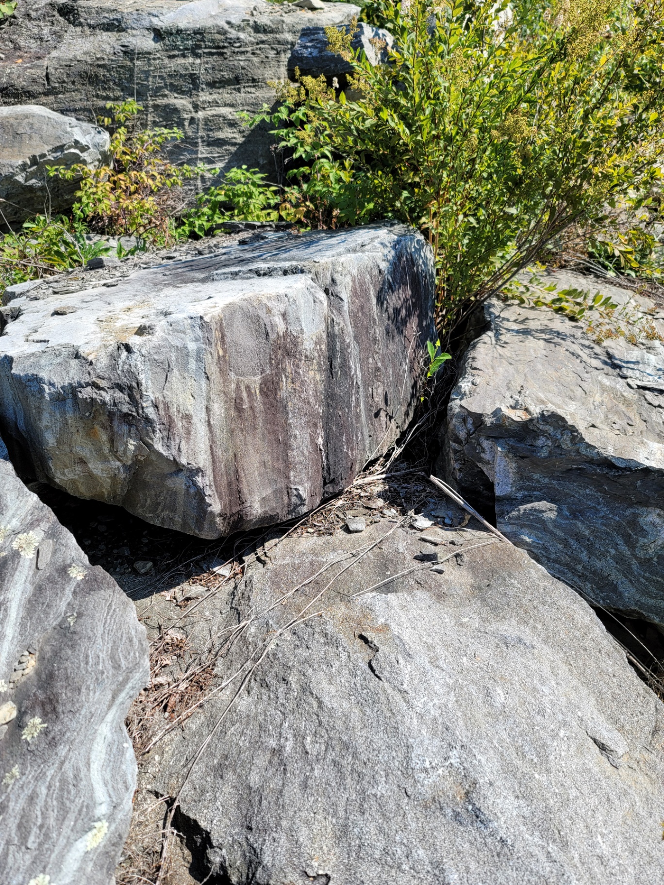 Large quarried boulder with banded grey and purple stone face